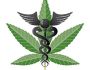 Tratamiento Dermatológico Con Aceite de Cannabis